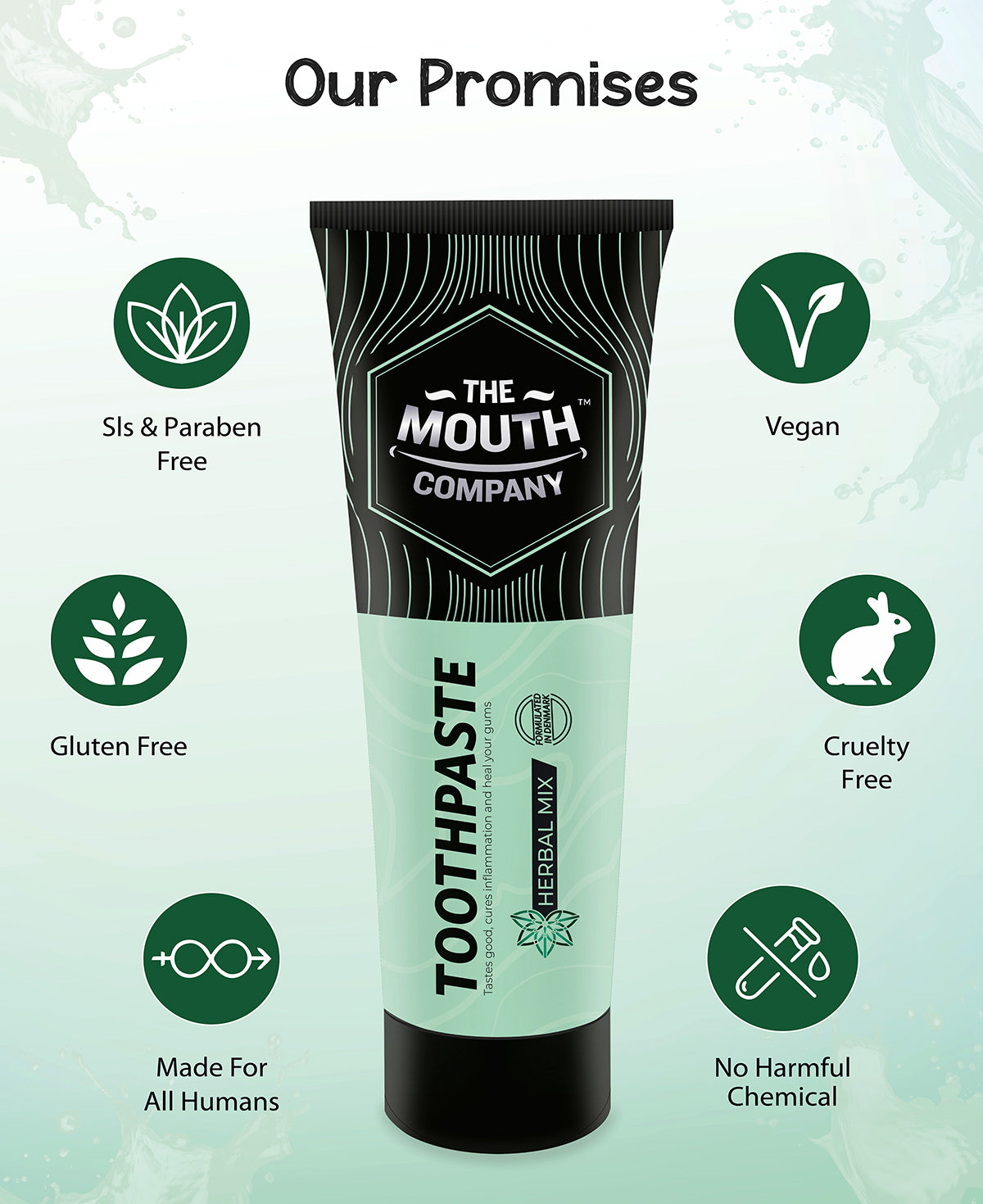 The Mouth Company Herbal Mix Toothpaste - 75 gm